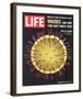 LIFE Viruses-The Flu Germ 1966-null-Framed Art Print