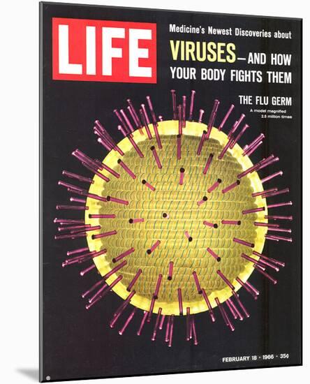 LIFE Viruses-The Flu Germ 1966-null-Mounted Art Print