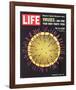 LIFE Viruses-The Flu Germ 1966-null-Framed Art Print