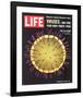 LIFE Viruses-The Flu Germ 1966-null-Framed Art Print