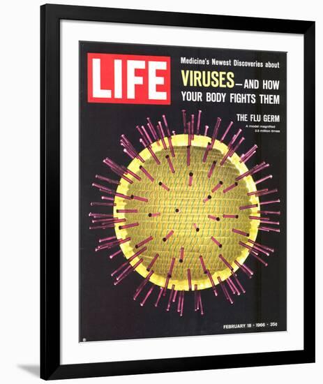 LIFE Viruses-The Flu Germ 1966-null-Framed Art Print