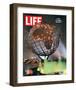 LIFE World's Fair Opens 1964-null-Framed Art Print