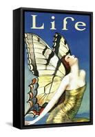 Life-null-Framed Stretched Canvas