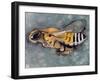 Life-Angelina Wrona-Framed Art Print