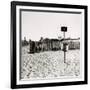 Lifebelt, Camber Sands-Fay Godwin-Framed Giclee Print