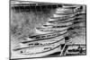Lifeboats from the SS Titanic, 1912. Artist: Unknown-Unknown-Mounted Photographic Print