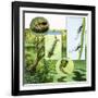 Lifecycle of the Mosquito-R. B. Davis-Framed Giclee Print