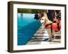 Lifeguard Dog, Rescue Demonstration with the Dogs in the Pool.-Antonio Gravante-Framed Photographic Print