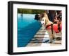 Lifeguard Dog, Rescue Demonstration with the Dogs in the Pool.-Antonio Gravante-Framed Photographic Print