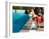 Lifeguard Dog, Rescue Demonstration with the Dogs in the Pool.-Antonio Gravante-Framed Photographic Print