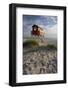 Lifeguard Hut and Sand Dunes, Skanor Falsterbo, Falsterbo Peninsula, Skane, South Sweden, Sweden-Stuart Black-Framed Photographic Print