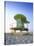 Lifeguard Hut in Art Deco Style, South Beach, Miami Beach, Miami, Florida, USA-Gavin Hellier-Stretched Canvas