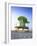 Lifeguard Hut in Art Deco Style, South Beach, Miami Beach, Miami, Florida, USA-Gavin Hellier-Framed Photographic Print