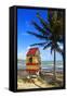 Lifeguard Hut on a Beach, Puerto Rico-George Oze-Framed Stretched Canvas