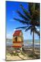 Lifeguard Hut on a Beach, Puerto Rico-George Oze-Mounted Photographic Print