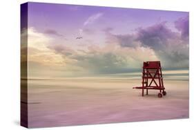 LifeGuard Only-Barbara Simmons-Stretched Canvas