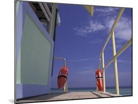 Lifeguard Stand, South Beach, Miami, Florida, USA-Robin Hill-Mounted Photographic Print