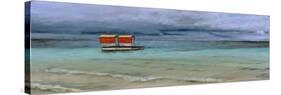 Lifeguard Station, Mauritius, 2008-Trevor Neal-Stretched Canvas