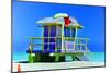 Lifeguard Station Miami Beach-null-Mounted Art Print