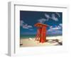 Lifeguard Tower, Waikiki Beach, Honolulu, Hawaii-George Oze-Framed Photographic Print