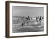 Lifeguards and Members of Womens Swimming Team Start Day by Charging into Surf-Peter Stackpole-Framed Photographic Print