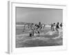 Lifeguards and Members of Womens Swimming Team Start Day by Charging into Surf-Peter Stackpole-Framed Photographic Print