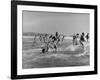 Lifeguards and Members of Womens Swimming Team Start Day by Charging into Surf-Peter Stackpole-Framed Photographic Print