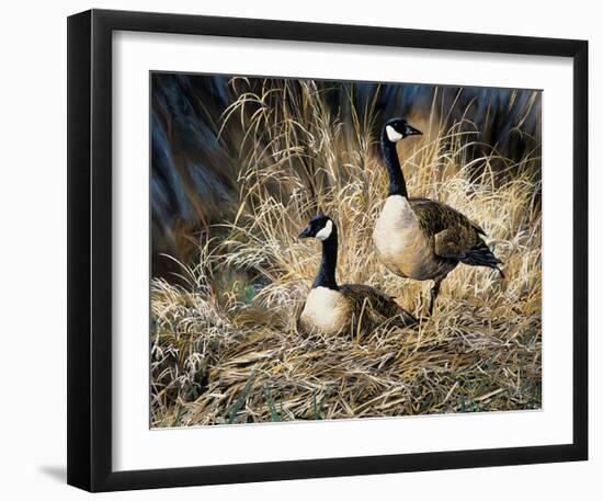 Lifetime Mate- Geese-Andrew Kiss-Framed Art Print