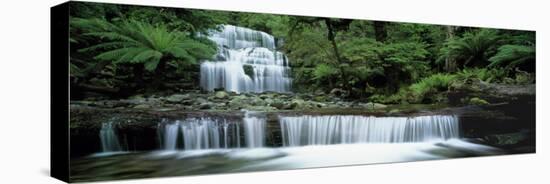 Liffey Falls, Tasmania, Australia-null-Stretched Canvas