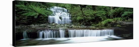 Liffey Falls, Tasmania, Australia-null-Stretched Canvas