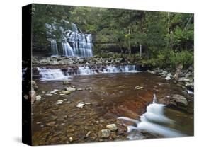 Liffey Falls, UNESCO World Heritage Site, Tasmania, Australia, Pacific-Jochen Schlenker-Stretched Canvas