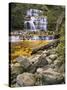 Liffey Falls, UNESCO World Heritage Site, Tasmania, Australia, Pacific-Jochen Schlenker-Stretched Canvas