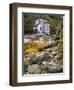 Liffey Falls, UNESCO World Heritage Site, Tasmania, Australia, Pacific-Jochen Schlenker-Framed Photographic Print