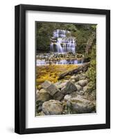 Liffey Falls, UNESCO World Heritage Site, Tasmania, Australia, Pacific-Jochen Schlenker-Framed Photographic Print