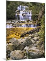 Liffey Falls, UNESCO World Heritage Site, Tasmania, Australia, Pacific-Jochen Schlenker-Mounted Photographic Print