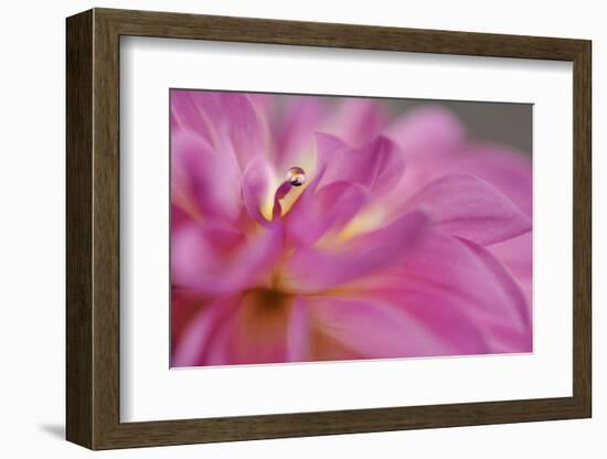 Lift Me High-Heidi Westum-Framed Photographic Print