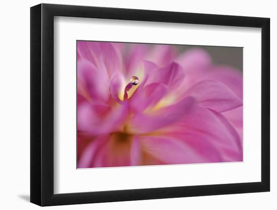 Lift Me High-Heidi Westum-Framed Photographic Print