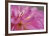 Lift Me High-Heidi Westum-Framed Photographic Print