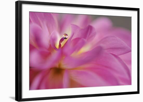 Lift Me High-Heidi Westum-Framed Photographic Print