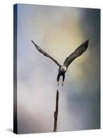 Lift Off Bald Eagle-Jai Johnson-Stretched Canvas
