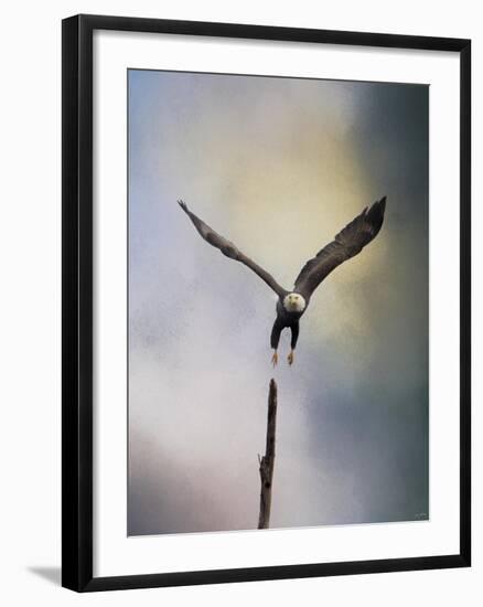 Lift Off Bald Eagle-Jai Johnson-Framed Giclee Print