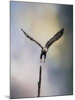 Lift Off Bald Eagle-Jai Johnson-Mounted Giclee Print