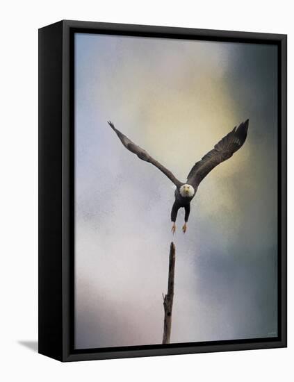 Lift Off Bald Eagle-Jai Johnson-Framed Stretched Canvas