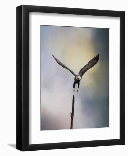 Lift Off Bald Eagle-Jai Johnson-Framed Premium Giclee Print