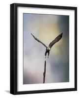 Lift Off Bald Eagle-Jai Johnson-Framed Giclee Print