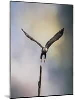 Lift Off Bald Eagle-Jai Johnson-Mounted Giclee Print