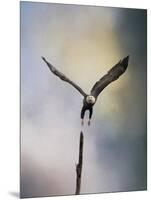 Lift Off Bald Eagle-Jai Johnson-Mounted Giclee Print