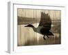 Lift Off-Tania Bello-Framed Giclee Print