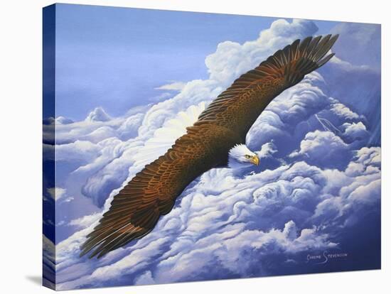 Lifted To The Sky-Graeme Stevenson-Stretched Canvas