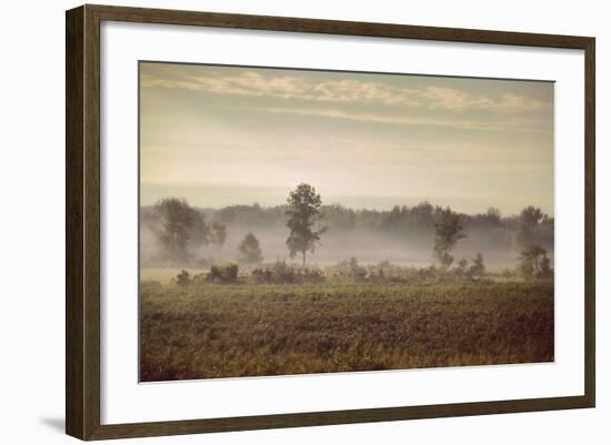 Lifting Fog-Jai Johnson-Framed Giclee Print